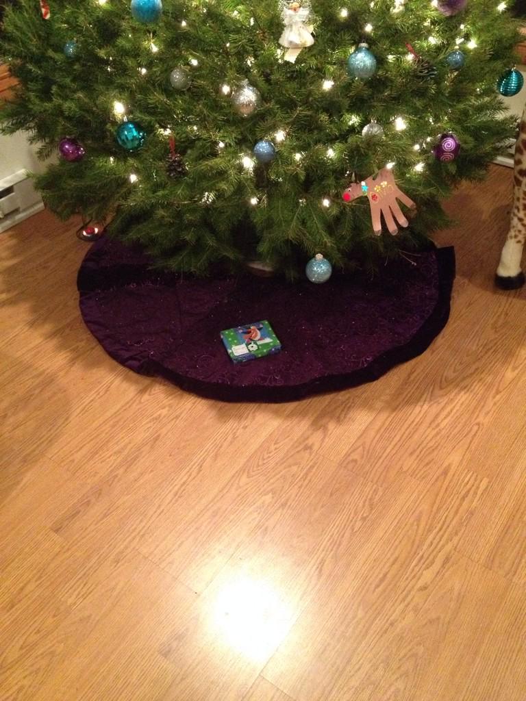 livtalley's tweet photo. The first Christmas present under my tree is for Jake.. 🙈🙊 http://t.co/mN9JoUQyzz