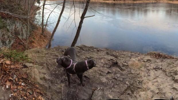 PanoramaFails's tweet photo. #PanoramaFail http://t.co/9jXn9vdDqS