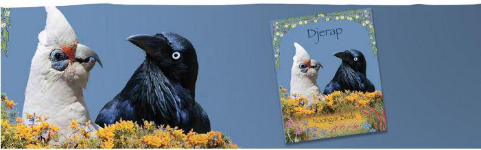 Batchelor_Inst's tweet photo. #Indigenous_Inst Djerap is an amazing resource, Noongar dialects_ Book launch http://t.co/ZhuHEQXhba http://t.co/d92JoVwHex