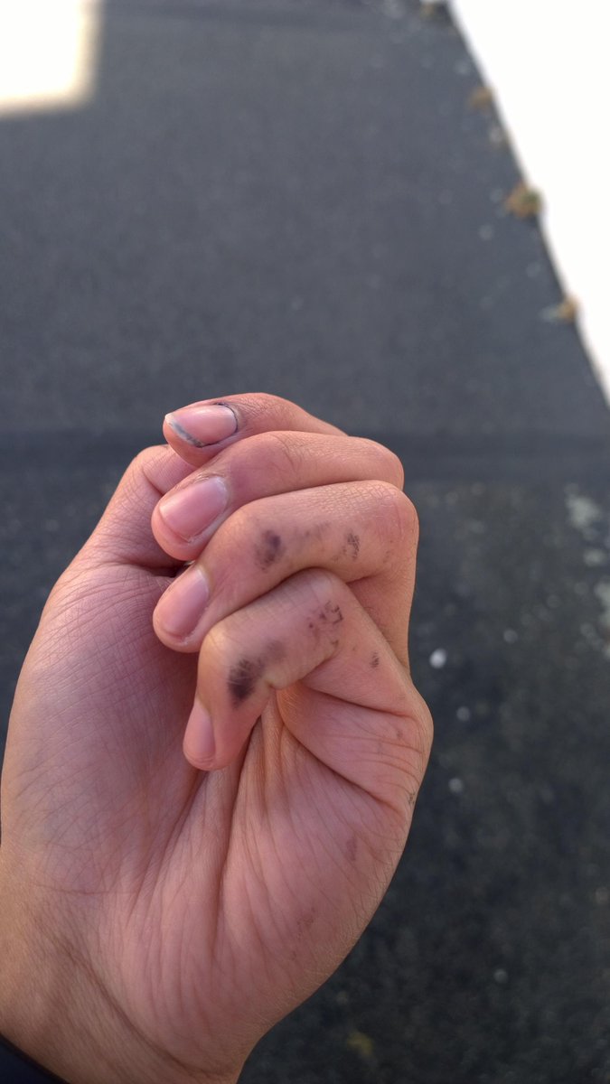 thejoejay42's tweet photo. Two exams on the last day but now they're over!!! Woohoo!! #BurnTheNotes #NCEA2014 #Chinese #Music http://t.co/9es5cYlzUt