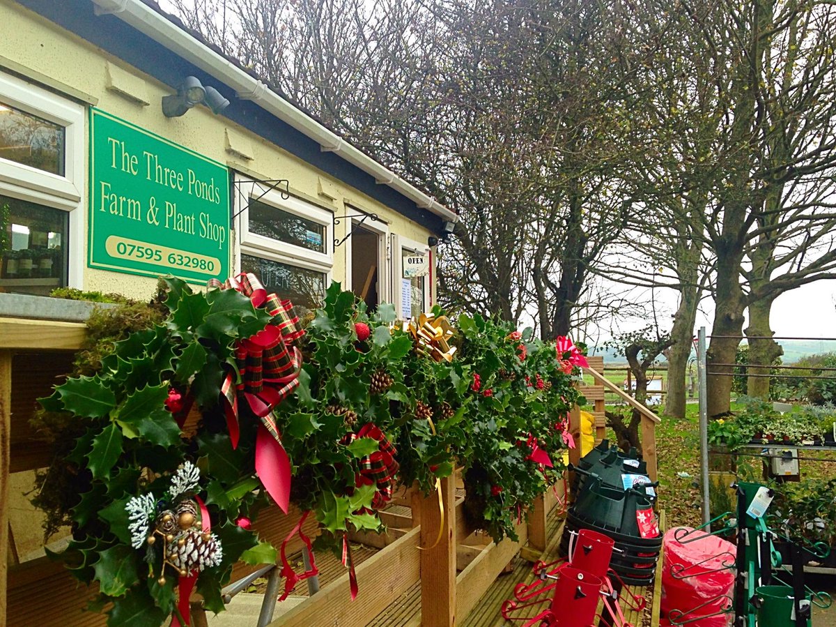ThreePondsPark's tweet photo. Christmas Tree O' Christmas Tree! Now on sale at Three Ponds Farm Shop! http://t.co/p7wZNcGfNI