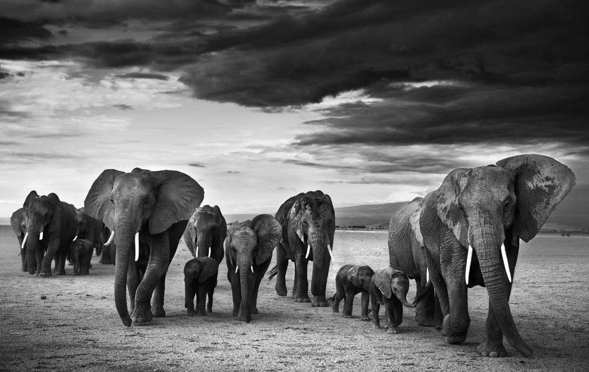 David_Yarrow's tweet photo. Congratulations @tony_fitzjohn @MkomaziProject for last night's event -fundraising for a truly inspiring cause. http://t.co/OTt1ahXYI0