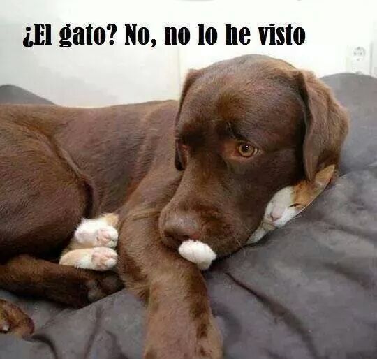 BareaCoto's tweet photo. Buenos días twiter@S http://t.co/IspbuR4r5Q