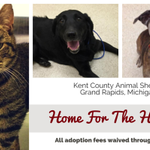 Photo by A Pet's Life® (@APetsLifeTweets)