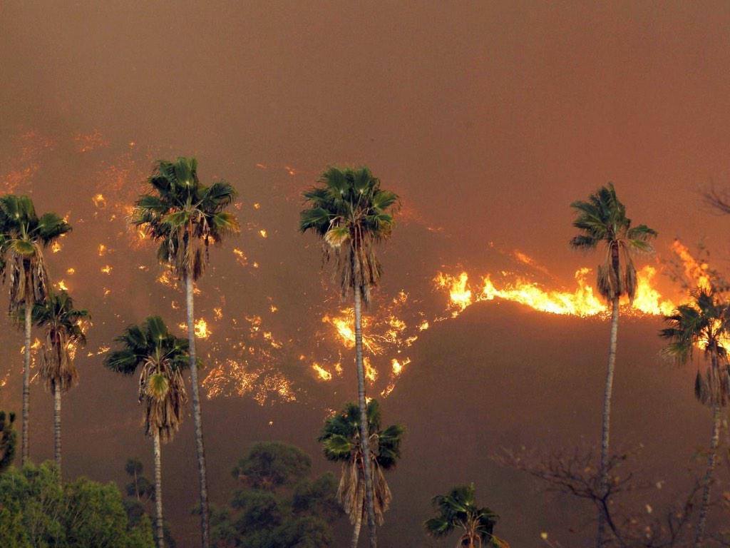 How #Climate Change Has Altered Your Life On Earth 
ow.ly/3v2mJB #environment