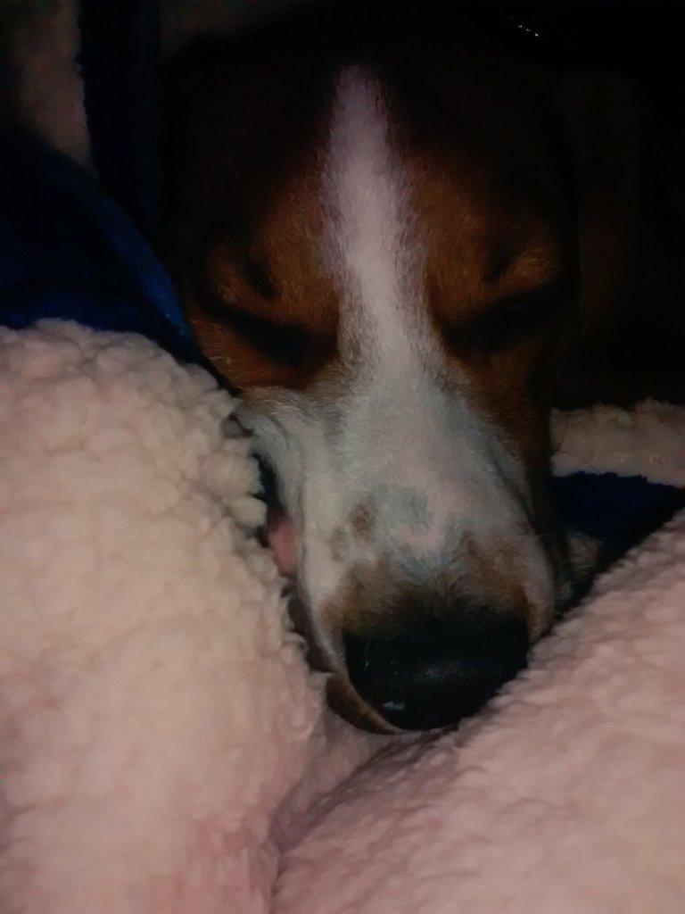 I'm a bit lazy today...