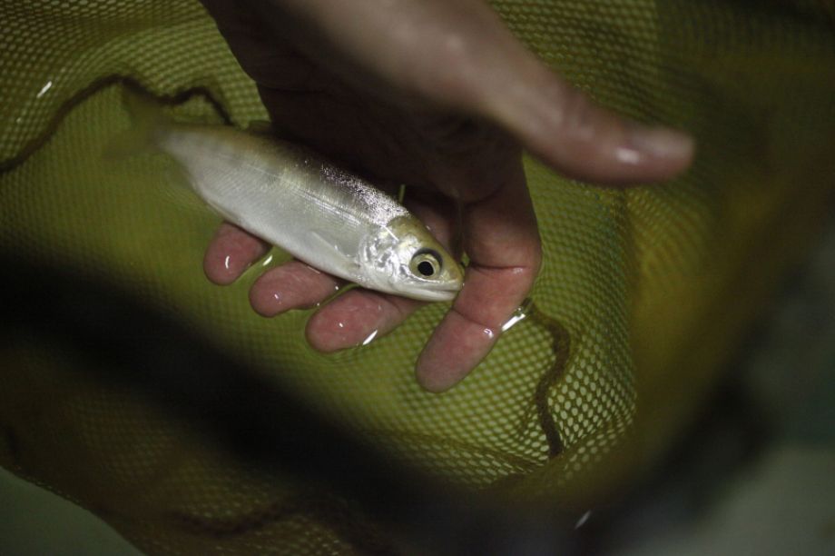 Climate Desk tweet media