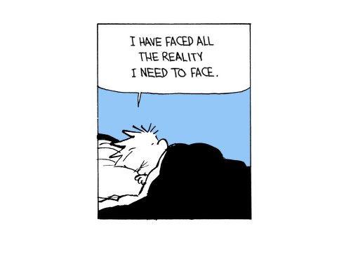 Calvin and Hobbes Fan Account tweet media