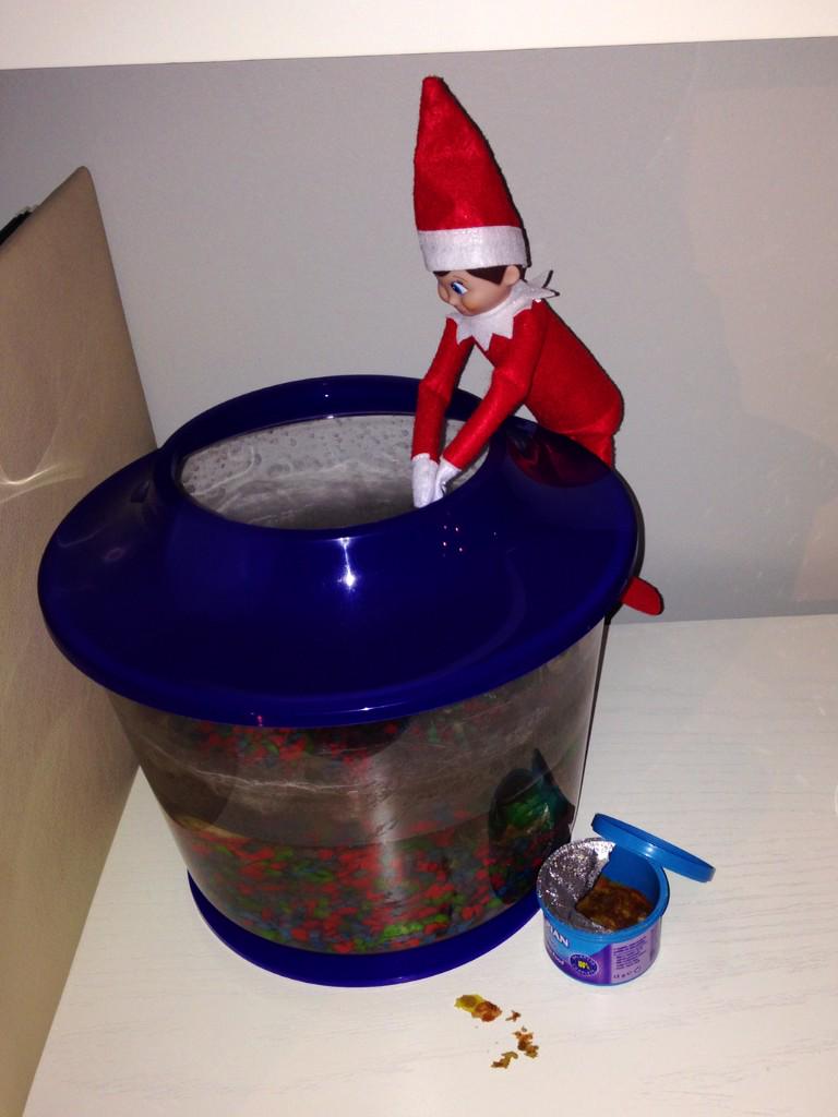 sloanali's tweet photo. @MrStakelumsSI Busy little elf!! But he's also busy watching to see if children are good! #benelf http://t.co/42NhNQnSu9