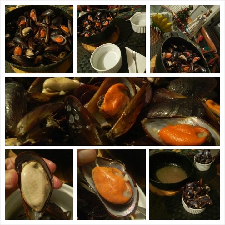 marianLaChef's tweet photo. @HechoenMarg @blogsderecetas @CocinayVino Mejillones guardieros cebolla+ajo+jerez by @marianlachef#margaritacomoteamo http://t.co/VB6XoOnGgm