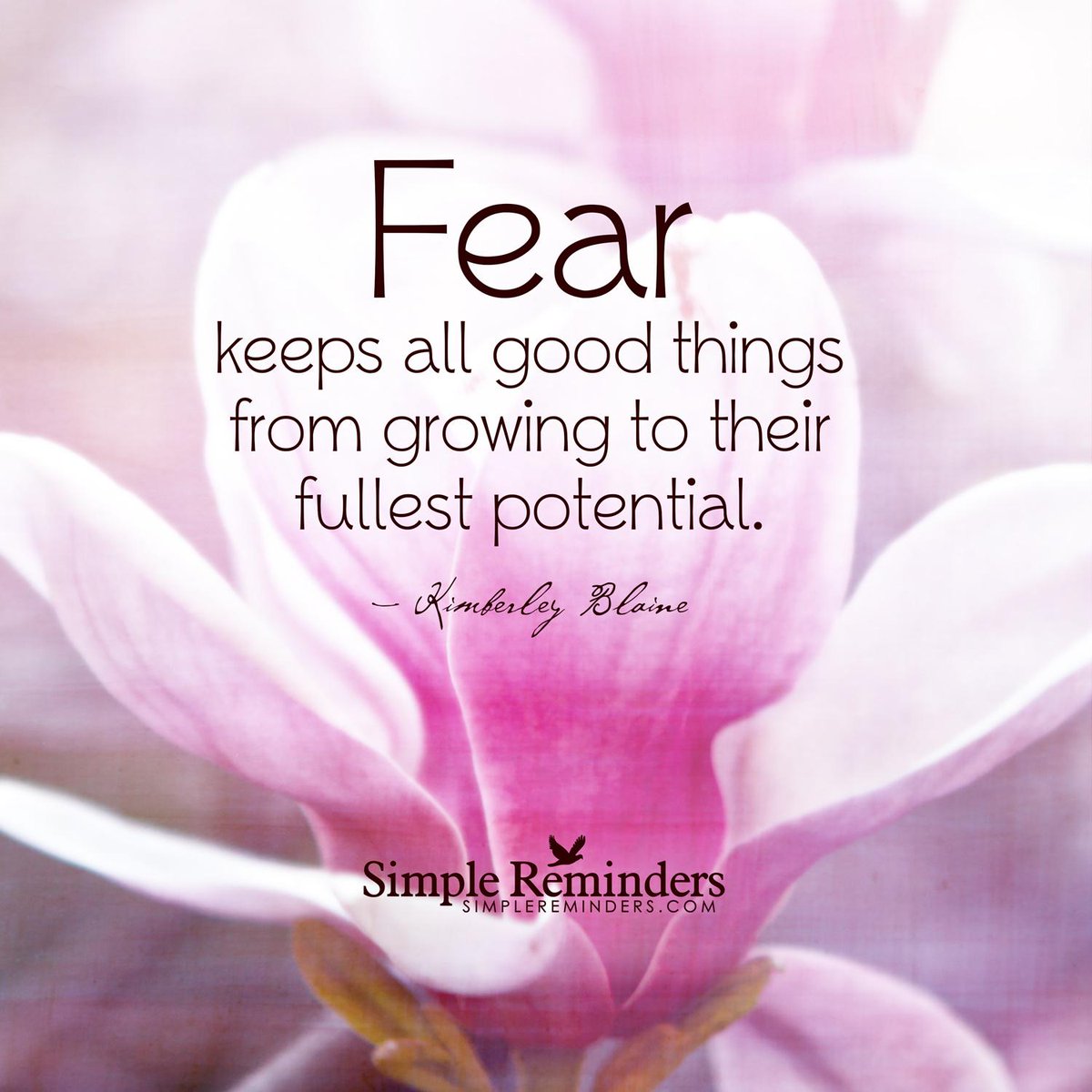 KariJoys's tweet photo. Fear keeps good things from #growing to their fullest potential.~KBlaine #JoyTrain   https://t.co/XBoS4p5WJC @_AuthenticMe_