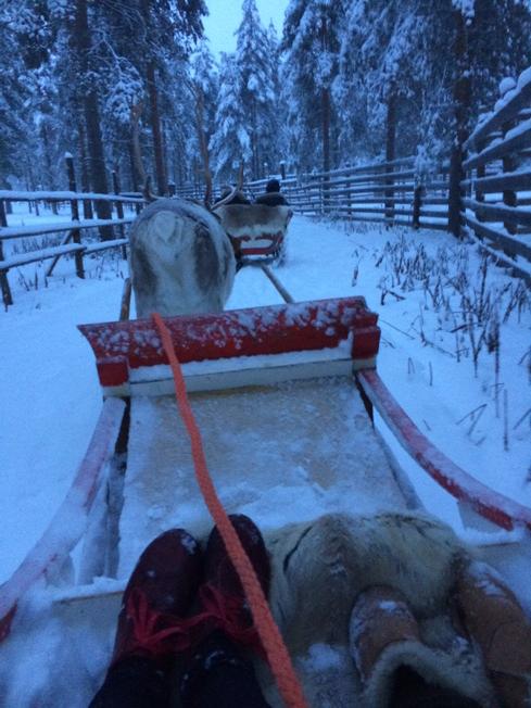 Katja_UH's tweet photo. #Jinglebells, jinglebells, jingle all the way. #Finnfacts #presstour #Rovaniemi #arcticissues http://t.co/xG1NSaM5q2