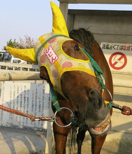 競馬ファン集まれ！の28の画像