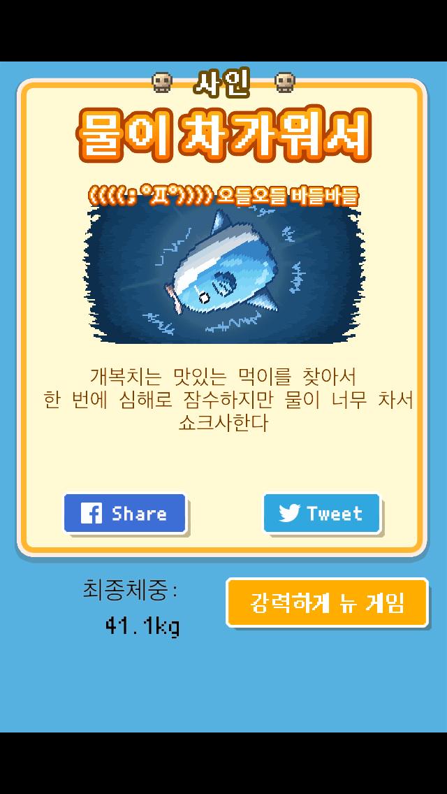 S2YSY's tweet photo. 힘들여서 키운 개복치가…
＿人人 人人＿
＞ 돌연사 ＜
￣Y^Y^Y^Y￣
사인:[물이 차가워서]
체중:41.1kg
무료육성 게임【살아남아라！개복치】
 #개복치 http://t.co/92JgZ7FeOl http://t.co/m7M48EVVSH