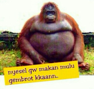 B32euakCYAQ2HOu.png:large