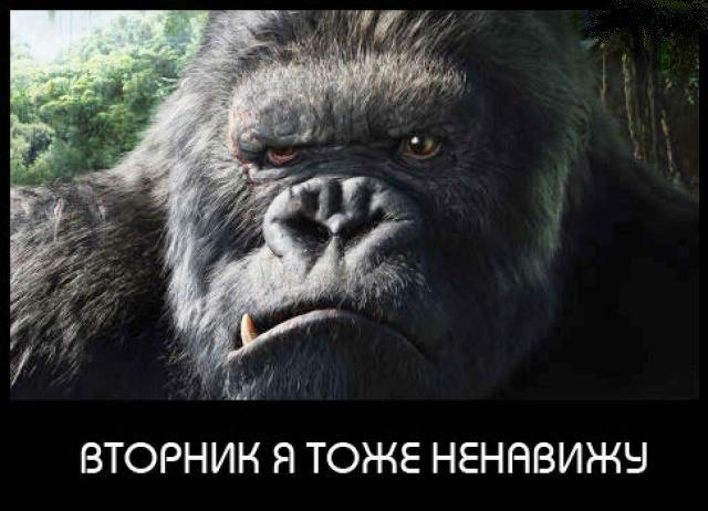 Анимационные картинки, вторник прикол картинка