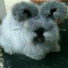 bucek_01's tweet photo. http://t.co/GtfErkboNN