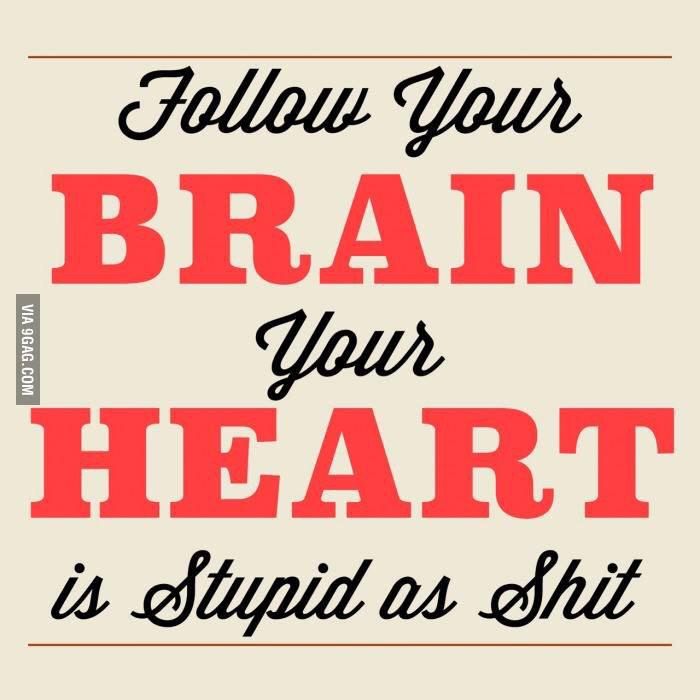 follow your brain