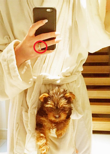 fastaystrong's tweet photo. stay strong qm tem que aturar essas fotos da perrie mostrando "o cachorro de zerrie" e q aparece o anel "sem querer" http://t.co/lyHy3zzWUO