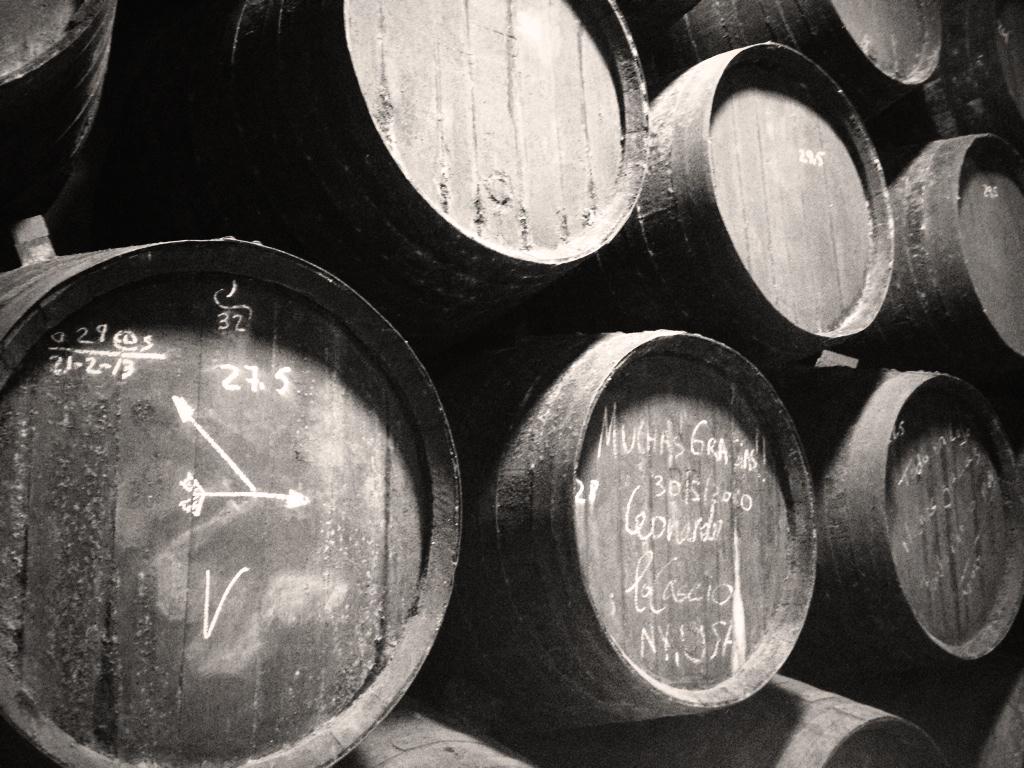 Why sherry bodegas are magic,mystical and so funny at the same time?Very soon we'll open our doors to you #experience