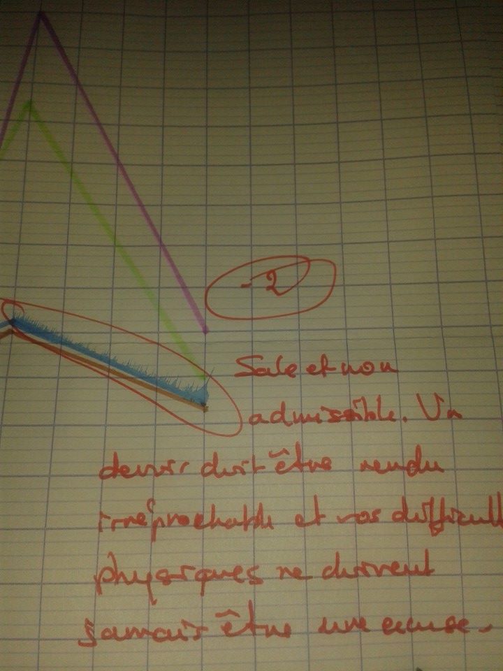 RaphBaader's tweet photo. - 2 points pour....CA ??!!! Ahahah.... CONNASSE ! #profdebio http://t.co/hR15zi5BWW