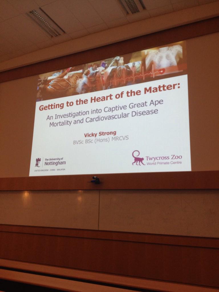 Really looking forward to catching up on this research :) @Spr1969 <a href="/gahpinfo/">GreatApeHeartProject</a>