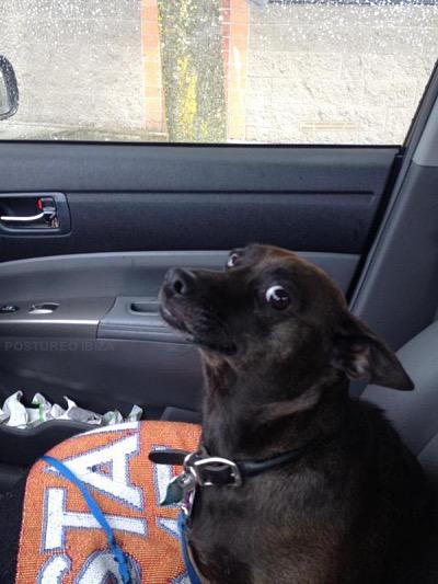 CUANDO EL TAXISTA TE DICE QUE TE VA A LLEVAR POR OTRO CAMINO MAS RÁPIDO.