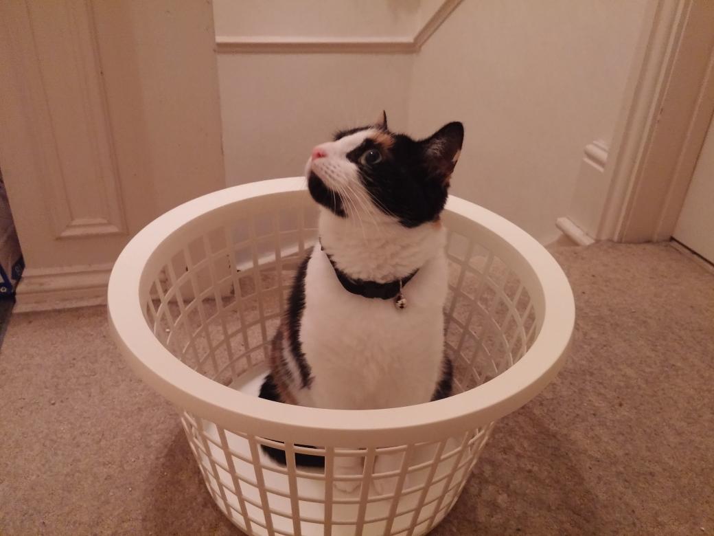 ProfCinders's tweet image. Guess this means I can't do the washing tonight...