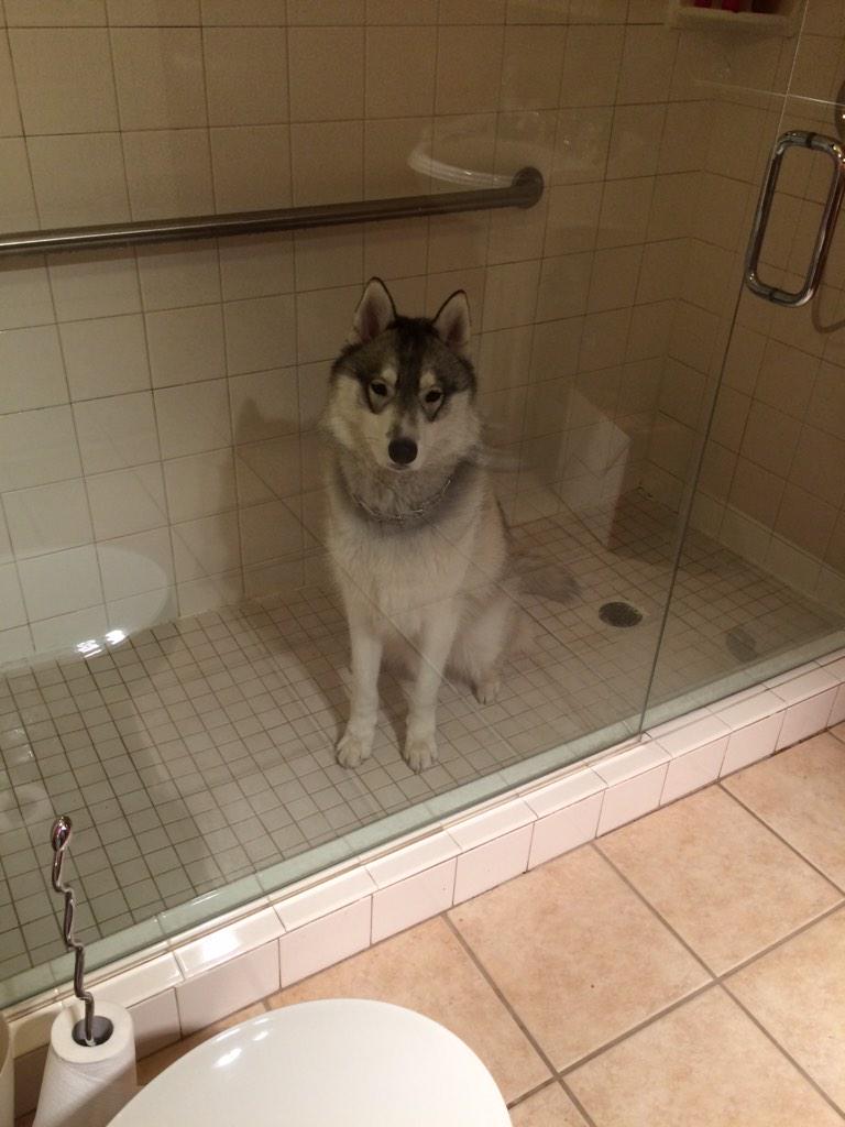 Ole_Sab's tweet photo. Trapped in jail http://t.co/g6icwE8CRI
