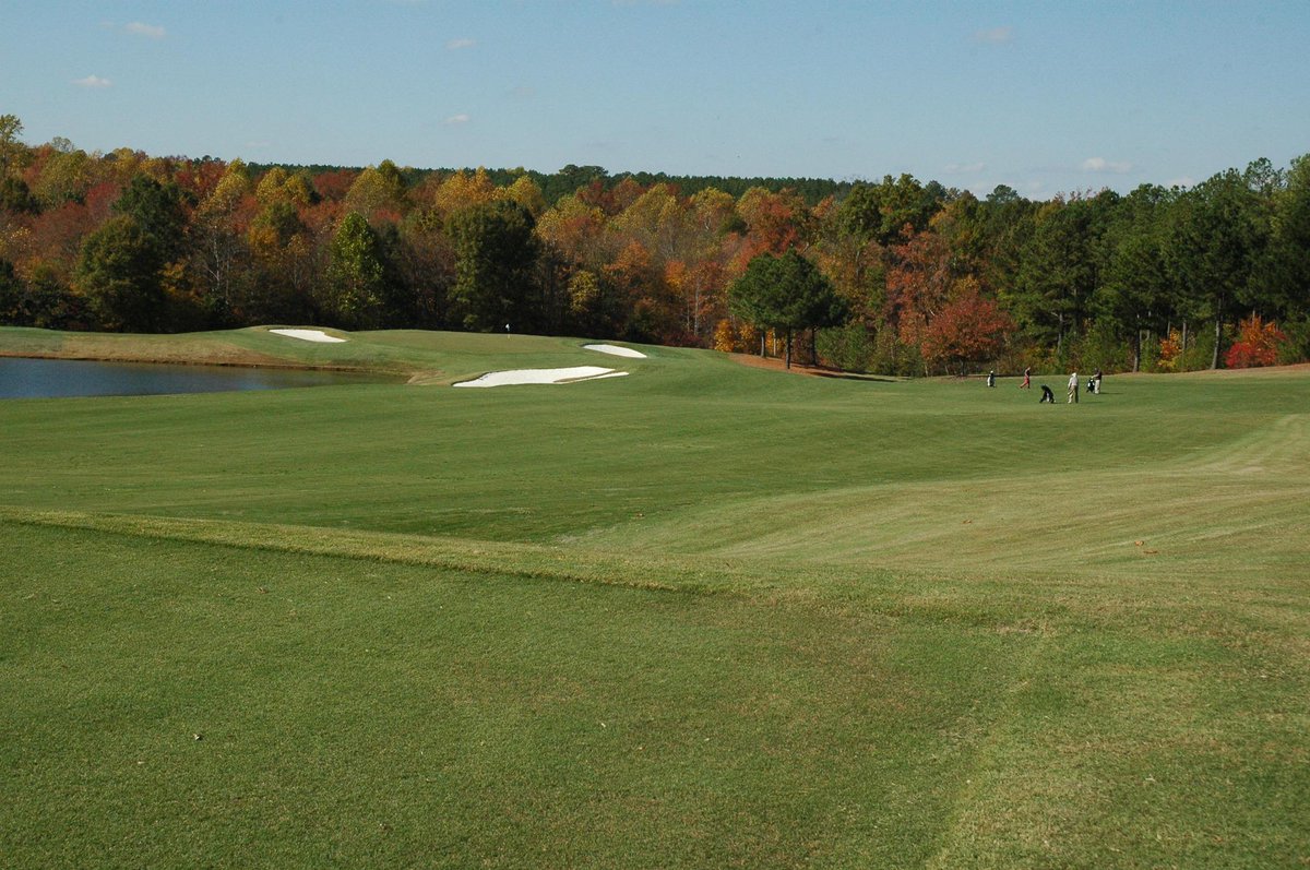 Lester George tweet media