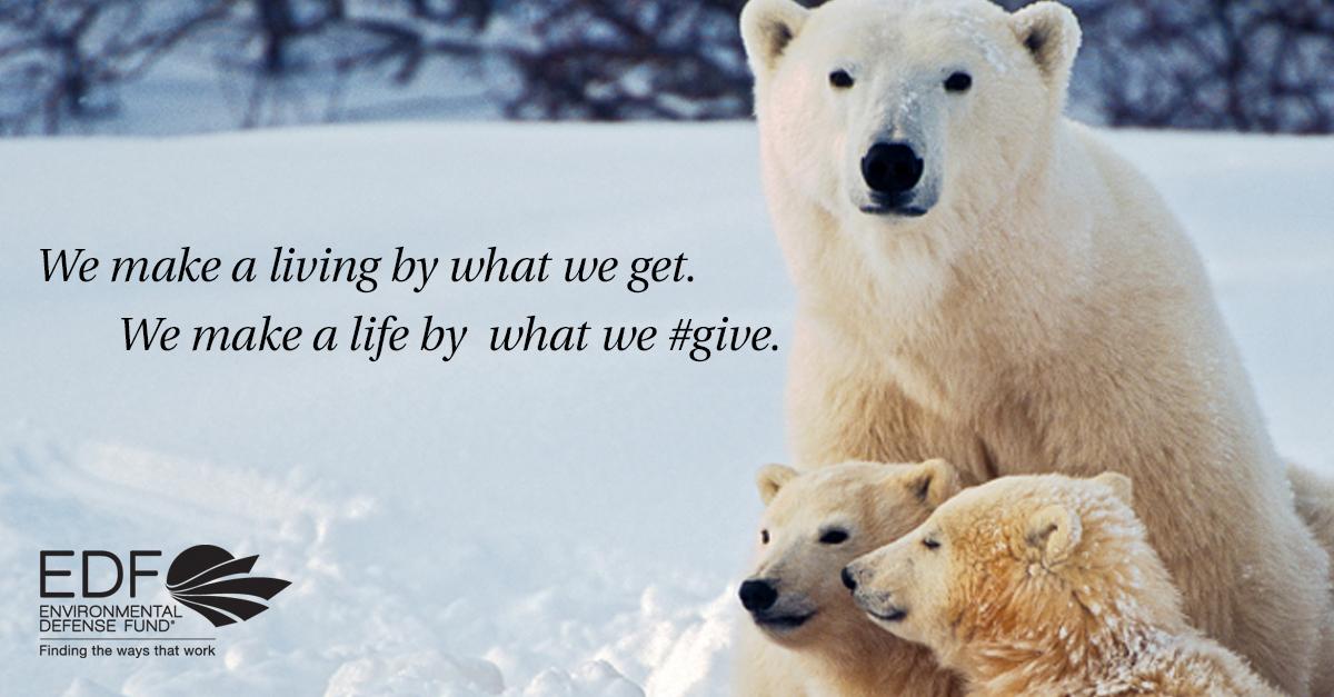 EnvDefenseFund's tweet photo. Do you support #GivingTuesday? Join the world in a global celebration of generosity: http://t.co/SdSKbjsY2x http://t.co/oLopQ46gsU