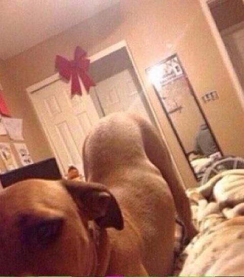 thisbe_like's tweet image. Girls be like 
"Need to clean my room lol"