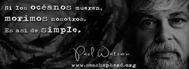 Happy Birthday Paul Watson 