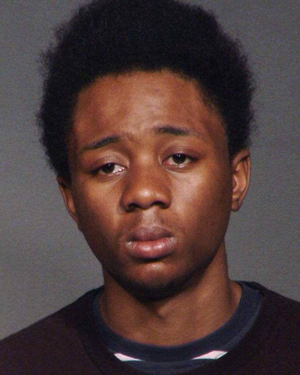 Alonzo Brown dropkicks mom carrying baby, steals cellphone