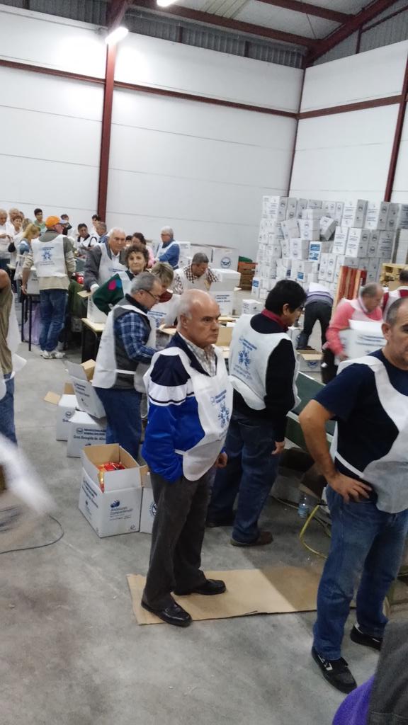 Todos estos voluntarios estan recibiendo y clasificando los 703.000 kilos de comida de <a href="/GranRecogidaMLG/">GranRecogidaMLG</a> <a href="/adirecto/">Andalucía Directo ❎</a>