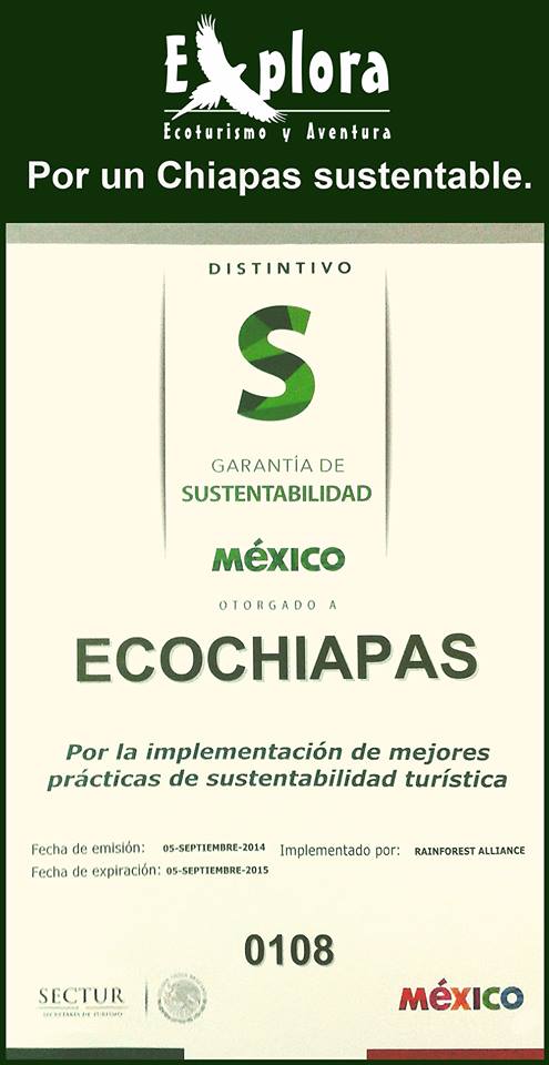 Explora tweet media