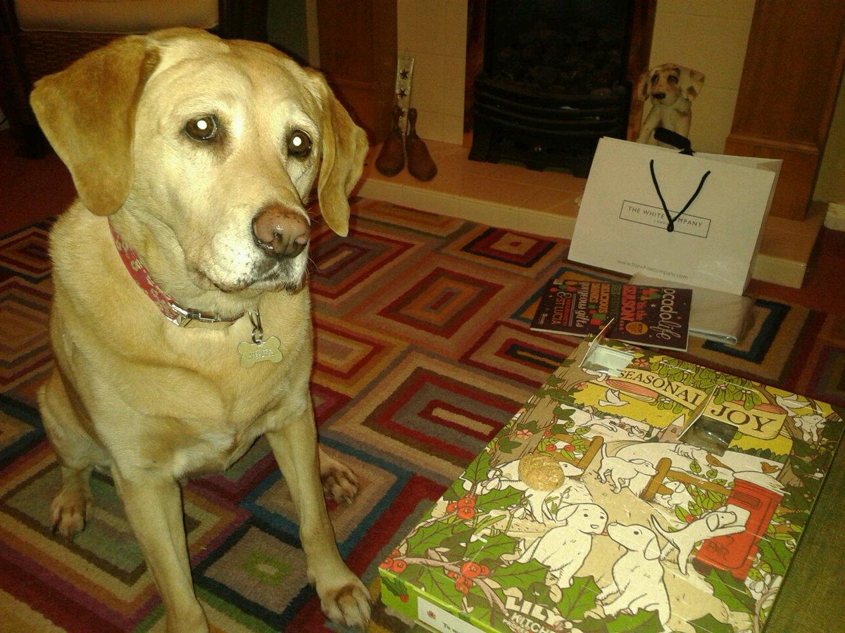 DooferDog's tweet photo. Bit worried someone will pinch day 2 before I get my paws on it #adventcalendarproblems http://t.co/9OqfGz5vBn