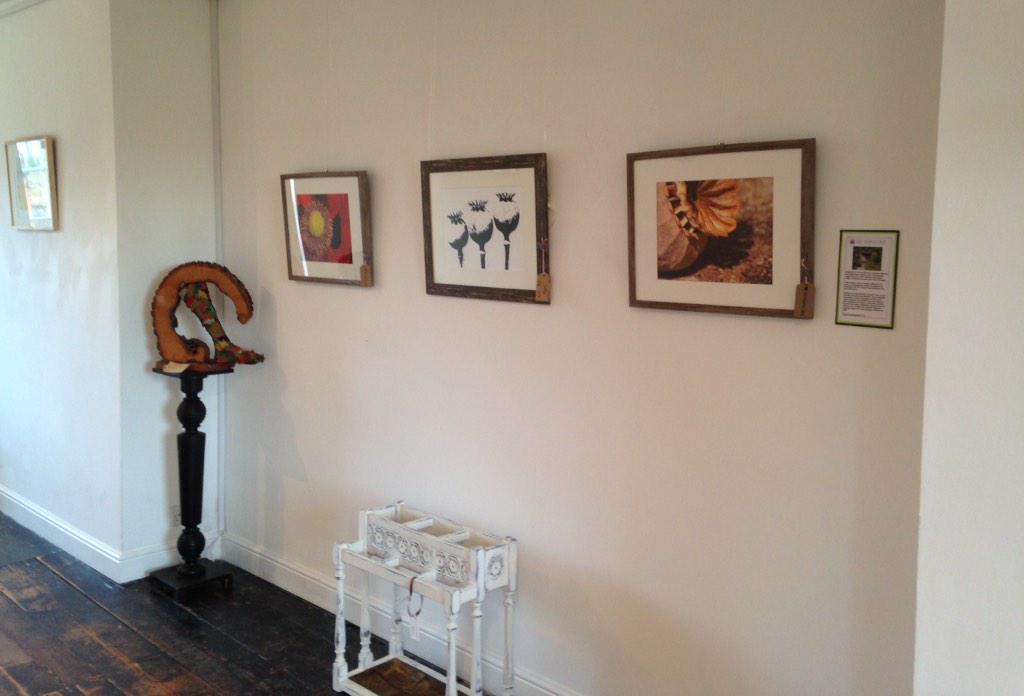 curiousbygeorge's tweet photo. Gallery space at #foreverycloud #langportwhereitsto http://t.co/mOy9fVB9dQ