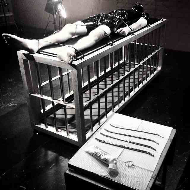 TonyOrlandoxxx's tweet photo. @DivineBitches @MonaWalesXXX #cockinspection #latex #googtimes http://t.co/qWnwFAGtsF