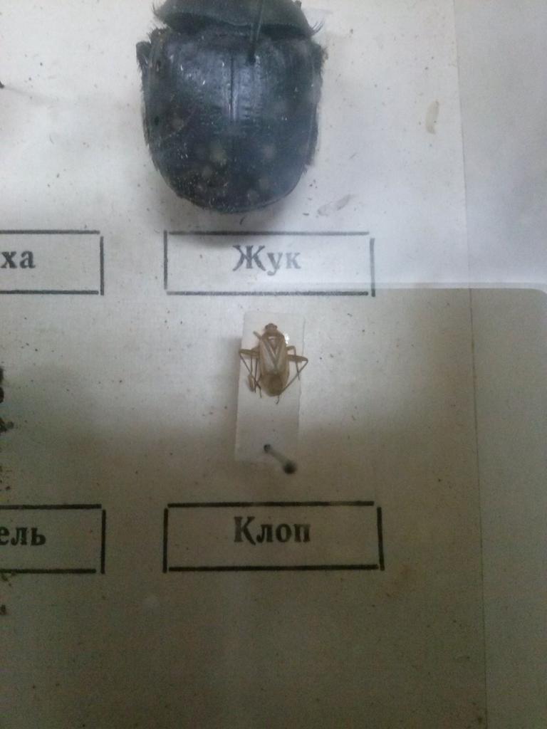 Dmitri78543743 tweet picture