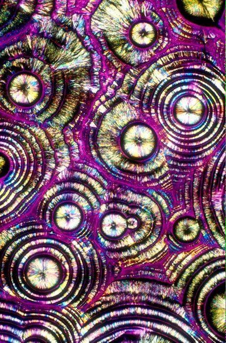 ScienceATM's tweet image. Vodka is beautiful... Even under a microscope!