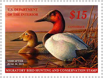 DucksUnlimited's tweet image. Duck Stamp Act of 2014 passes Senate, awaits president’s signature  Details: bit.ly/1FLCBGm #conservation
