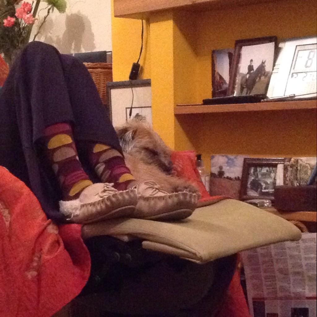 TweetsofBowser's tweet image. Pals, I am no longer on the naughty step. I'm snoozing by the fire with grandmummy, which is much better. #cosy