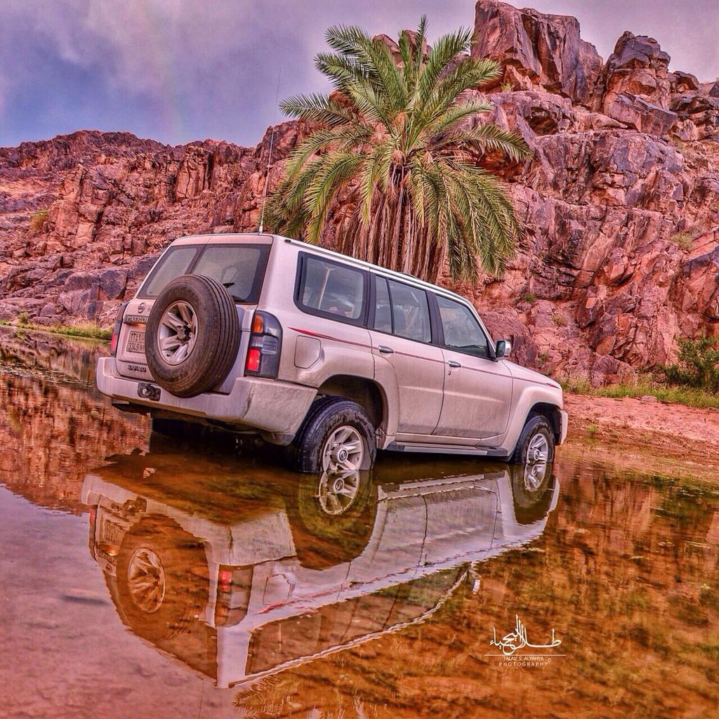 AssRidc's tweet image. ---
---