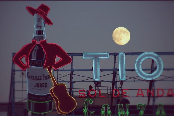 AvantiConLaGuaracha® tweet media