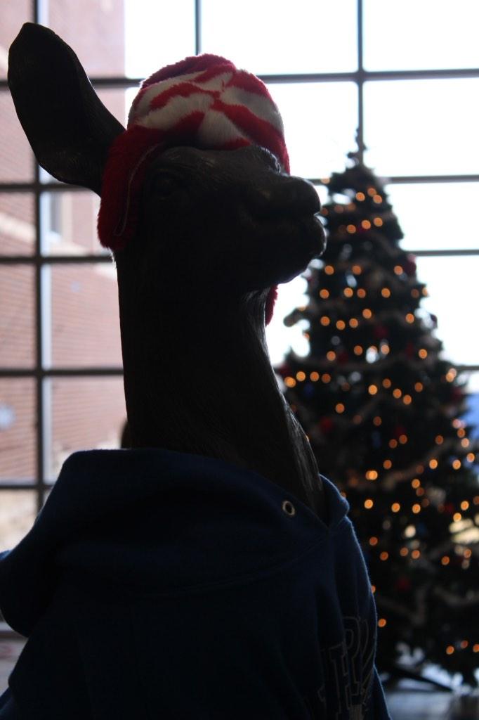 WHSGrassBurr's tweet photo. It's beginning to look a lot like Christmas at WHS! 🎄🎅 http://t.co/Mac4K8VzW9