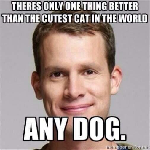 OverlyManlyMann's tweet photo. A man's best friend http://t.co/VIvmqDGf20