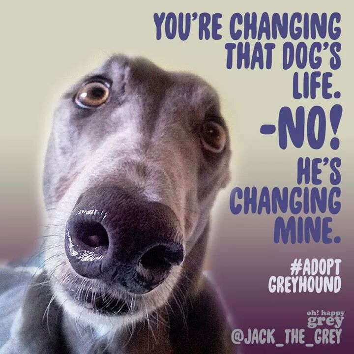 Charlie(OTR 15.06.23) & Bella(OTR 16.11.22) tweet media