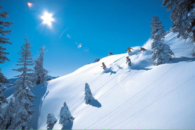 SkiingPics's tweet photo. Skiing season is almost upon us! Follow us for dope pictures! #SkiingPics http://t.co/FYPgDmL52S