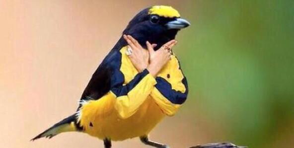 BuzzFeedComedy_'s tweet photo. When someone calls me by my Twitter name http://t.co/kM0aE7yv2h